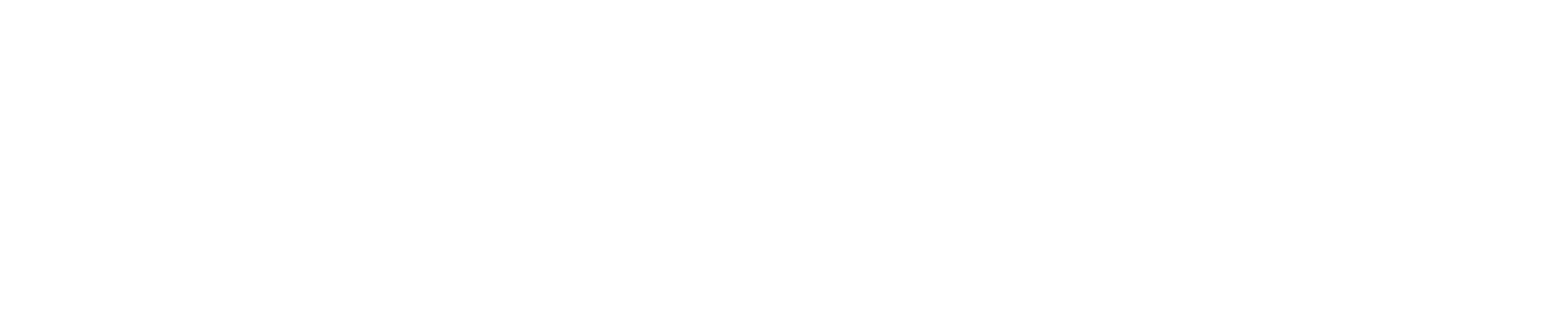 paloalto